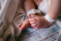 MelissaBadertscherPhotography_Turano_Fresh48_03