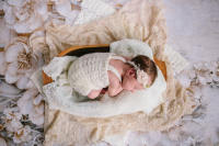 Morgan_MelissaBadertscherPhoto_10