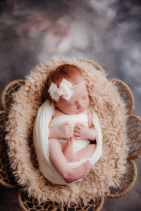 willa_024_MBPhotography2023-copy